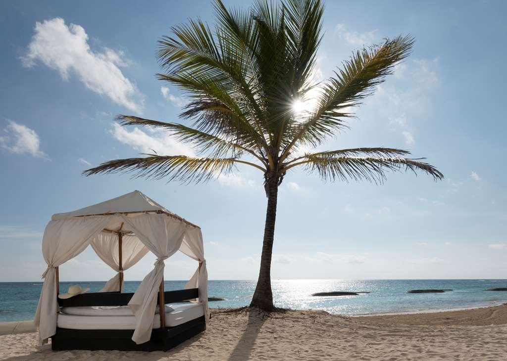 Ocean Blue And 4* Punta Cana